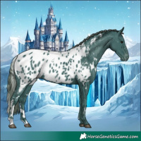 Horse Color:Watercolor White Spotted Smoky Black Near Leopard Rabicano