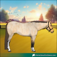 Horse Color:Buckskin Roan Tobiano 