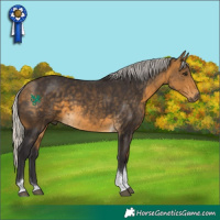 Horse Color:Silver Buckskin Tobiano 