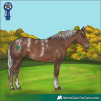Horse Color:Powder White Silver Black