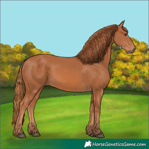 Horse Color:Chestnut 