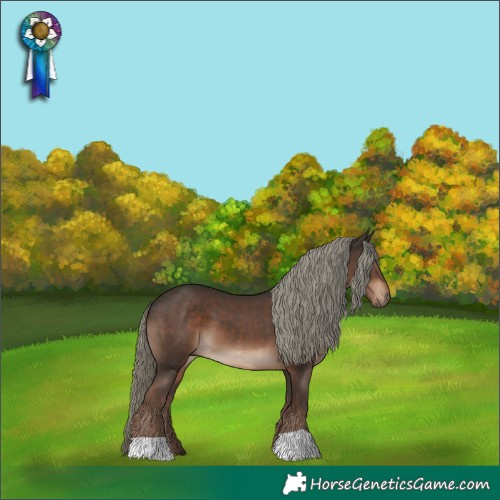 Horse Color:Liver Chestnut Mushroom 