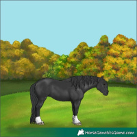 Horse Color:Black Mushroom