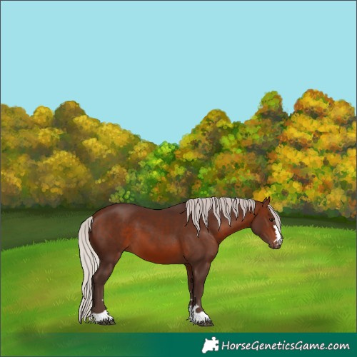Horse Color:Silver Brown 