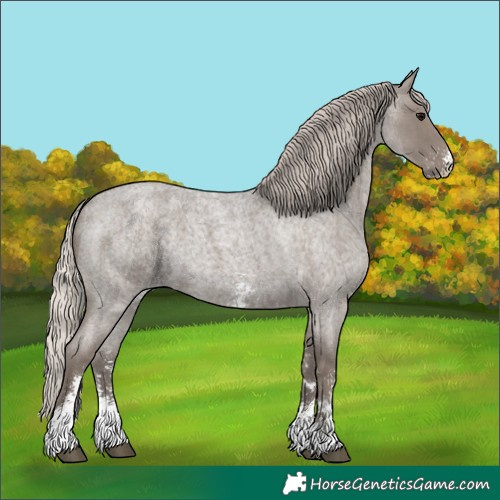 Horse Color:Silver Blue Roan Sabino 