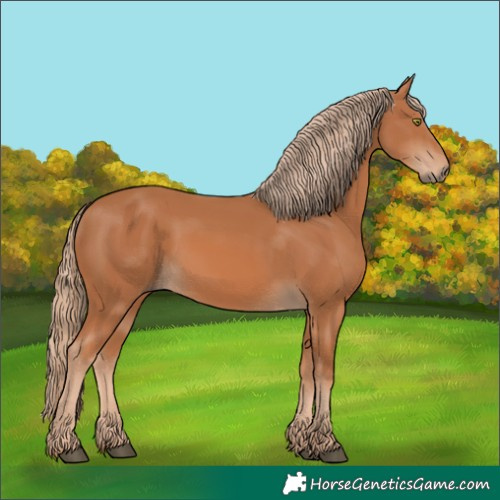 Horse Color:Chestnut 