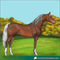 Horse Color:Silver Brown