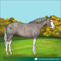 Horse Color:Silver Blue Roan Splash 