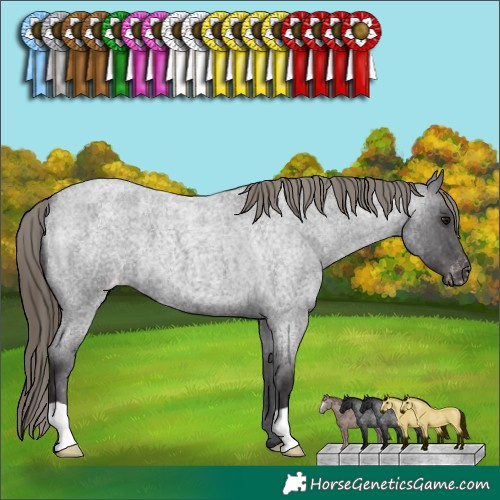 Horse Color:Smoky Blue Roan Varnish 