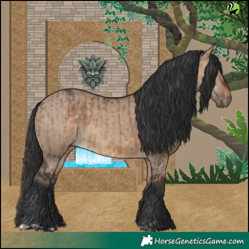 Horse Color:Brown Dun and Brown Dun