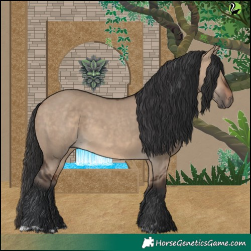 Horse Color:Brown Dun and Brown Dun