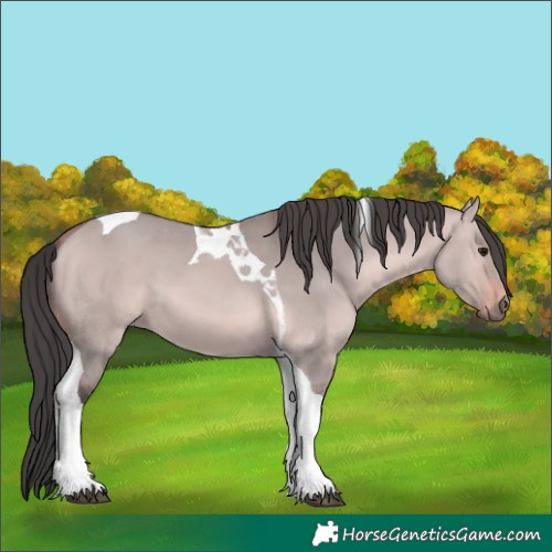 Horse Color:Platinum Bay Dun Tobiano 
