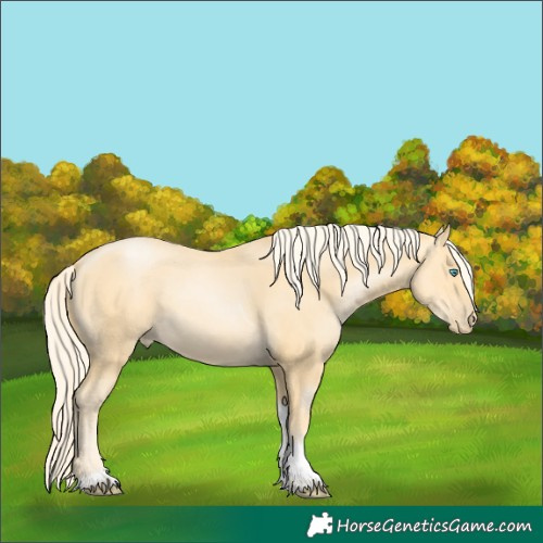 Horse Color:Palomino Pearl Tobiano Rabicano 