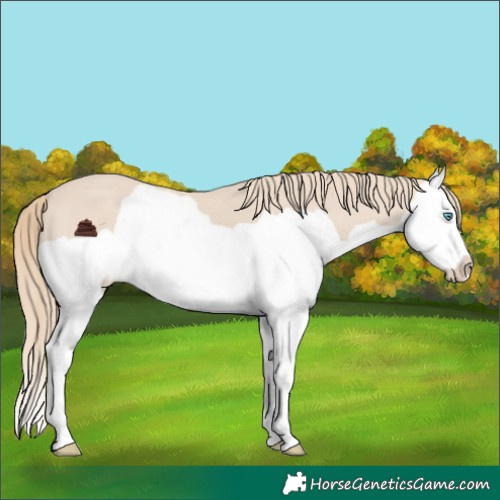 Horse Color:Chocolate Smoky Creme Splash 