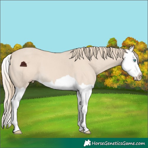Horse Color:Chocolate Smoky Creme Splash