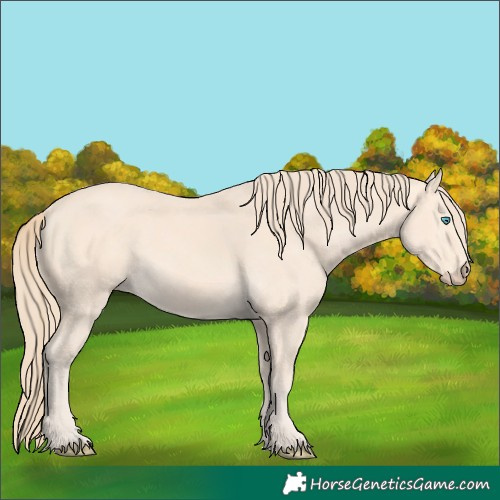 Horse Color:Perlino 