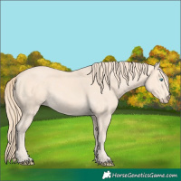 Horse Color:Perlino 