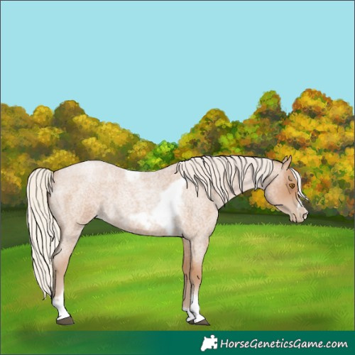 Horse Color:Silver Blue Roan Pearl Tobiano Frame 