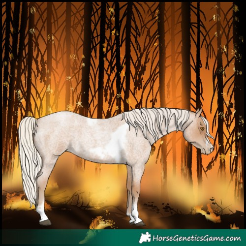 Horse Color:Silver Blue Roan Pearl Tobiano Frame 