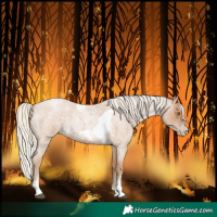Horse Color:Silver Blue Roan Pearl Tobiano Frame