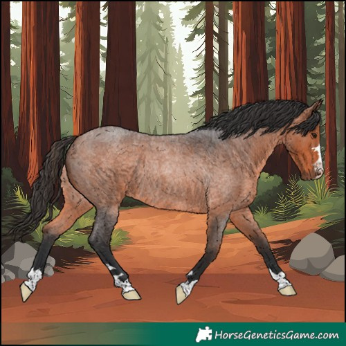 Horse Color:Bay Roan Rabicano 