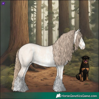Horse Color:Perlino Dun Sabino  and Perlino Dun Sabino 