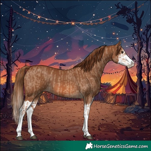 Horse Color:Red Dun Splash and Chestnut Splash