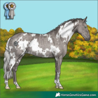 Horse Color:Platinum White Spotted Silver Smoky Grullo Rabicano Brindle 