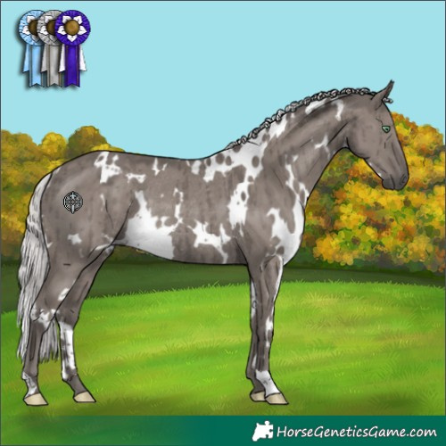 Horse Color:Platinum White Spotted Silver Smoky Grullo Rabicano Brindle 