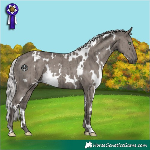 Horse Color:Platinum White Spotted Silver Smoky Grullo Rabicano Brindle 