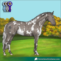 Horse Color:Platinum White Spotted Silver Smoky Grullo Rabicano Brindle 