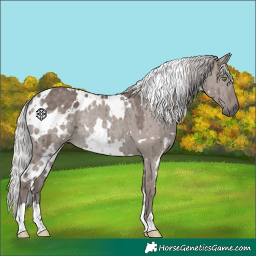 Horse Color:Platinum White Spotted Silver Grullo Rabicano Brindle 