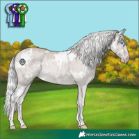 Horse Color:Platinum White Spotted Silver Smoky Creme Dun Rabicano Brindle