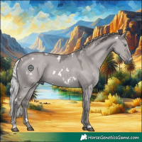 Horse Color:Platinum White Spotted Silver Smoky Grullo Rabicano