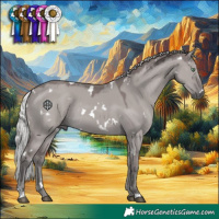 Horse Color:Platinum White Spotted Silver Smoky Grullo Rabicano 