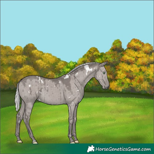 Horse Color:Platinum White Spotted Silver Smoky Grullo Rabicano Brindle 