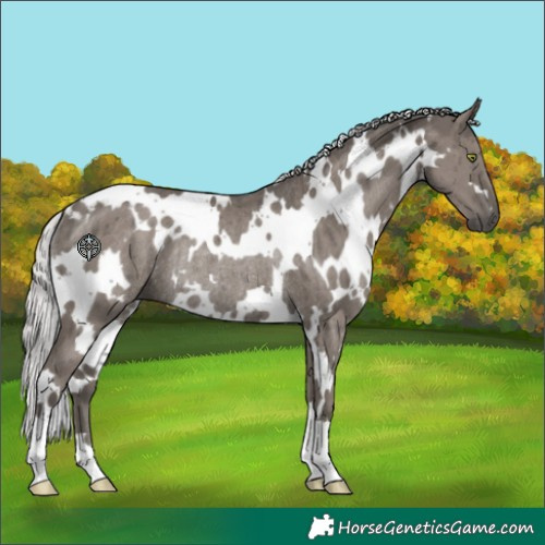 Horse Color:Platinum White Spotted Silver Grullo Rabicano Brindle 