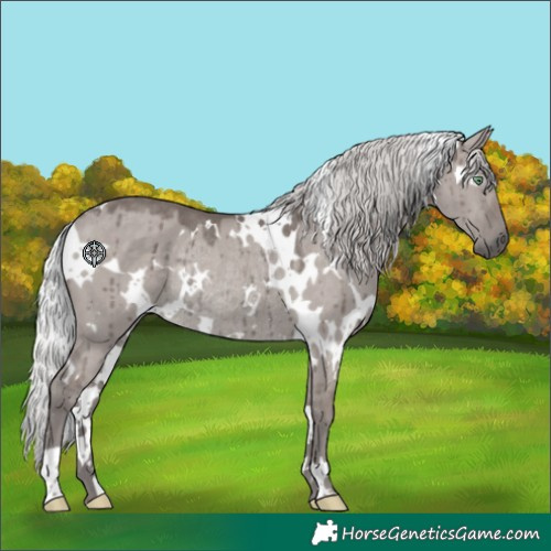 Horse Color:Platinum White Spotted Silver Smoky Grullo Rabicano Brindle 