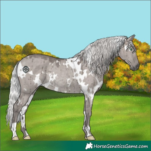 Horse Color:Platinum White Spotted Silver Smoky Grullo Rabicano Brindle 