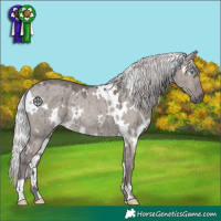 Horse Color:Platinum White Spotted Silver Smoky Grullo Rabicano Brindle