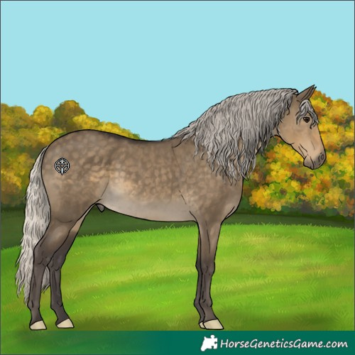 Horse Color:Silver Smoky Grullo Rabicano 