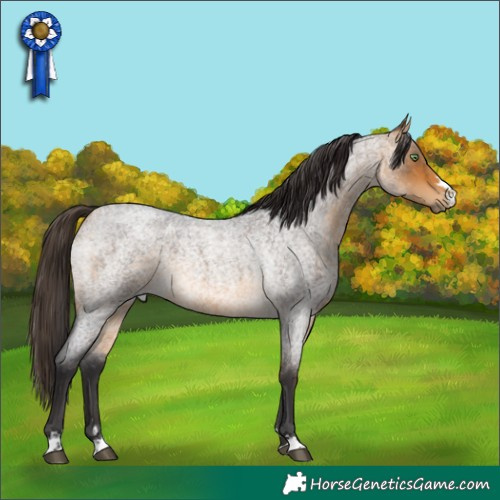 Horse Color:Buckskin Roan Rabicano 