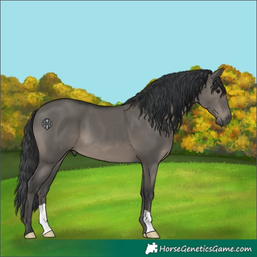 Horse Color:Grullo 