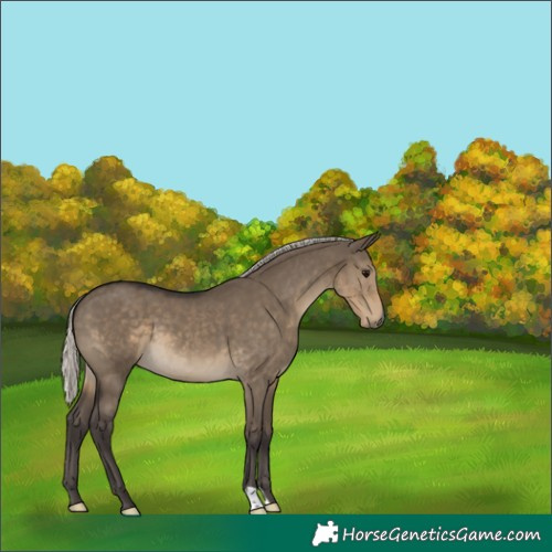 Horse Color:Silver Smoky Grullo 