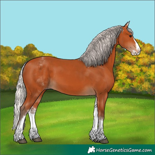 Horse Color:White Spotted Silver Bay Splash