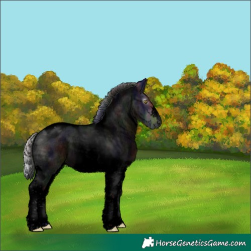 Horse Color:Gray Void Nacre Silver Brown Tobiano Rabicano 