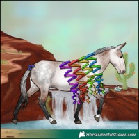 Horse Color:Gray Bay 