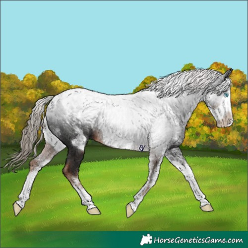 Horse Color:Powder White Liver Chestnut Frame 