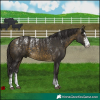 Horse Color:Powder White Buckskin Sabino 