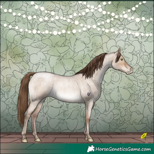 Horse Color:Brown Roan Pearl Dun Brindle 